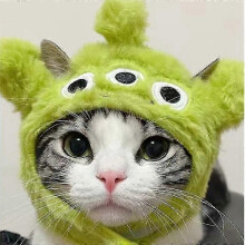 (10, One size) Kawaii Sanrio Pet Hat Hello Kittys Cinnamoroll Accessories Cute Cartoon Anime Plush Puppy Cat Doll Headgear Toys For Girls Gift