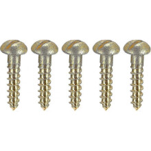 100 Pcs M2 X 10mm Brass One Word Half - Round Head Self - Tapping Screw Pure Copper