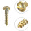 100 Pcs M2 X 10mm Brass One Word Half - Round Head Self - Tapping Screw Pure Copper 3