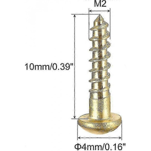 100 Pcs M2 X 10mm Brass One Word Half - Round Head Self - Tapping Screw Pure Copper 1