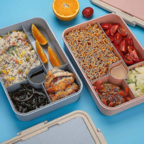 Bento Box Lunch Box for Kids Adults with 5 Compartment, Leakproof 2