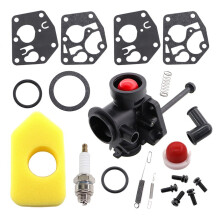 Carburetor 795083 Diaphragm Gasket For Briggs & Stratton 795477 498811 795469 699660 791384, 691859 Governer Spring, 698369 Filter