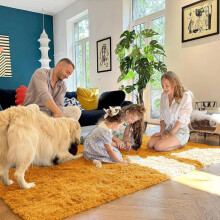 (Ochre Shaggy, 160 x 230 cm (5ft 3 in x 7ft 7in)) Xtra Large Nonslip Rugs Shaggy Fluffy Soft Traditional Carpets for Livingroom & Bedroom