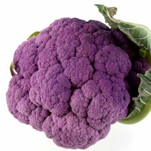 Graffiti Hybrid Cauliflower Garden Seeds 100 Seeds NonGMO, Purple Vegetable Gardening Seeds by Mountain Valley Seeds