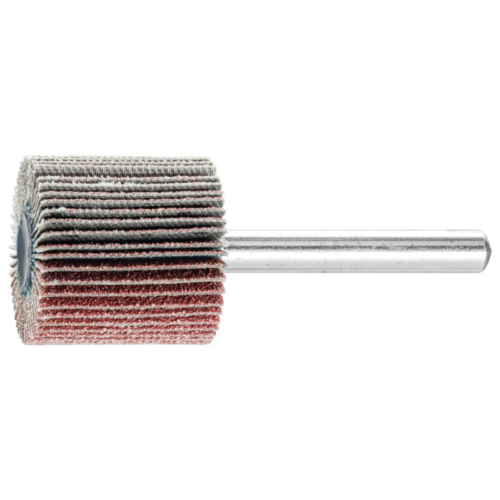 45185 Mounted Flap Wheel, Aluminum Oxide A, 1' Diameter X 1' Length, 1/4' Shank, 80 Grit, 25000 Max Rpm (Pack Of 10) 477902277012