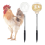 Chicken Toy, Interactive Slow Feed Release Toy for Your Flock 2Pcs 2