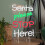 Premier 35cm Light up Santa Please Stop Here Neon Christmas Sign 3