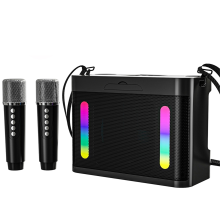 Subwoofer Wireless Bluetooth Speaker with 2 Microphones Stereo