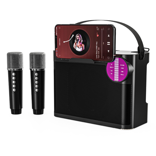 Kraftfull trådlös bärbar Bluetooth-högtalare med dubbla mikrofoner