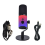 USB/XLR RGB Dynamic Microphone with XLR Cable 1