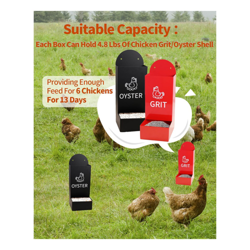 Chicken Oyster Shell Feeder and Grit Feeder Metal 1