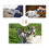 6Pcs Goat Feeding Bottles 400 Ml/13.5 Oz and 12 Nipples, 4