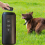 Anti Barking Device For Dogs Double Sensor Bark Device LED Flashlight 4