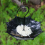 Bird Feeding Tray Tray for Garden 6