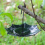 Bird Feeding Tray Tray for Garden 5
