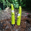 Resin Garden Stakes with Bamboo Decor 2pcs B 6