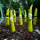 Resin Garden Stakes with Bamboo Decor 2pcs B 3