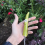 Resin Garden Stakes with Bamboo Decor 2pcs B 7