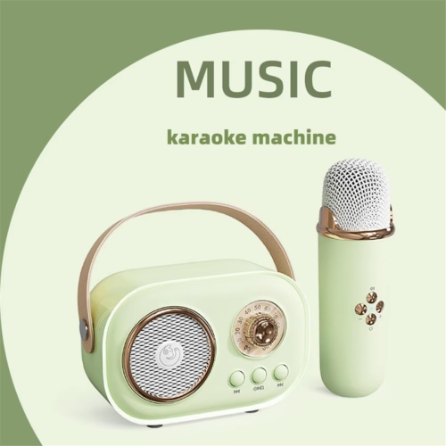 Bärbar trådlös Bluetooth-högtalare för karaoke med mikrofon, vit 2