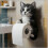 (Black cat) Cat Paper Holder Toilet wall roll paper 4