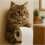 (Orange cat) Cat Paper Holder Toilet wall roll paper 4