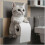 (Black cat) Cat Paper Holder Toilet wall roll paper 3
