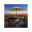 White LED Umbrella Light 1