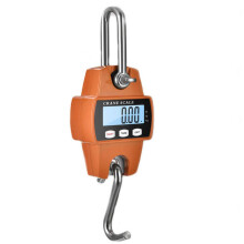 Hanging Weight Scale Industrial for Farm, Hunting, Bow Draw Weight, Big Fish