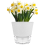 6 Inch Self Watering Plant Pot with Visual Reservoir Grey 2