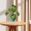6 Inch Self Watering Plant Pot with Visual Reservoir Grey 3