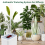 Automatic Watering System Smart Drip Irrigation Machine Waterer 2