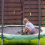 6 stk. skumhylser til trampolinestang på 94 cm, B 2