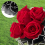 4 Yards Blumen-Geschenkpapier mit Perlenrand, 3er-Pack Schwarz 6