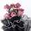 4 Yards Blumen-Geschenkpapier mit Perlenrand, 3er-Pack Schwarz 3