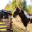 10 Pack Tie Ring for Horse,Block Tie Ring with Screws 5