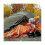 8 Pack Emergency Sleeping Bag Lightweight Thermal Survival Sleeping Bag Waterproof for Outdoor Camp 4