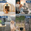 Anti Barking Devices, Rechargeable Dog Barking Control Device with 3 Modes, Ultrasonic Deterrent 2