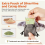Cat Toys Flapping Bird (No Flying), Lifelike Sandpiper 6