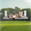 Foldable Cat Hammock Comfortable Aerial Hanging Cat Bed 4