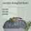 Bañera automática para pájaros y loros con circulación de agua 5