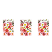36 PCS Dried Flowers for DIY Candle Resin Jewelry Art Decor-Pink
