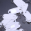Witte draagbare plastic sleutelhanger-ID-labels, 20 stuks 2