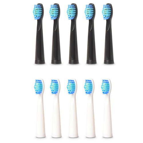 10 cabeças de escova de dentes elétricas para FW-507/508/551/917/959 1