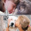 Cross Urn Ashes Necklace with Funnel Kit 5