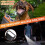 BarkGuard  Bark Guard Anti Barking Device for Dogs, Upgraded with HD Display  LED Flashlight 2