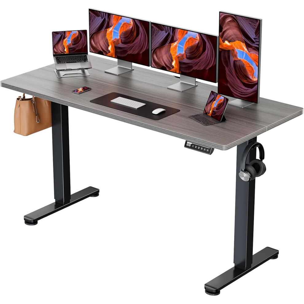 (63*28 Inch, Grey) Adjustable Electric Standing Desk, 48 x 24 Inches Sit Stand up Desk, Memory Computer Home Office Desk with Two-Piece Desktop (Vinta-image-OPC-PHYXDW8-NEW