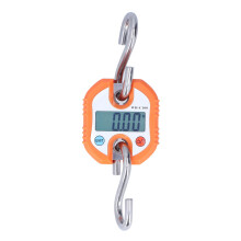 Fish Scales Digital Weight, Mini Industrial Weighing Hook 150kg Luggage Scale Double Accuracy Display