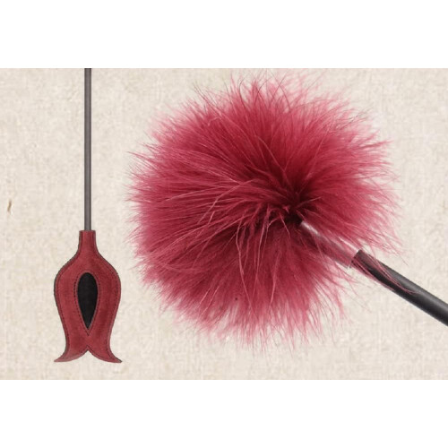 MultiFunctional Feather with Leather Hand Racket, Feather Flirting Tool, Spanking Flirting Toys 2