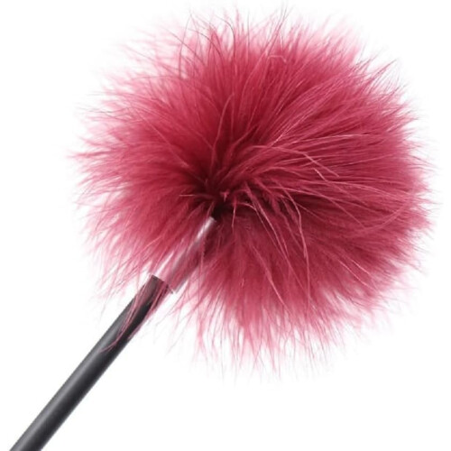 MultiFunctional Feather with Leather Hand Racket, Feather Flirting Tool, Spanking Flirting Toys 1