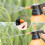 2L HeavyDuty Handheld Garden Pump Sprayer – with Adjustable Nozzle  Lockon Trigger 4